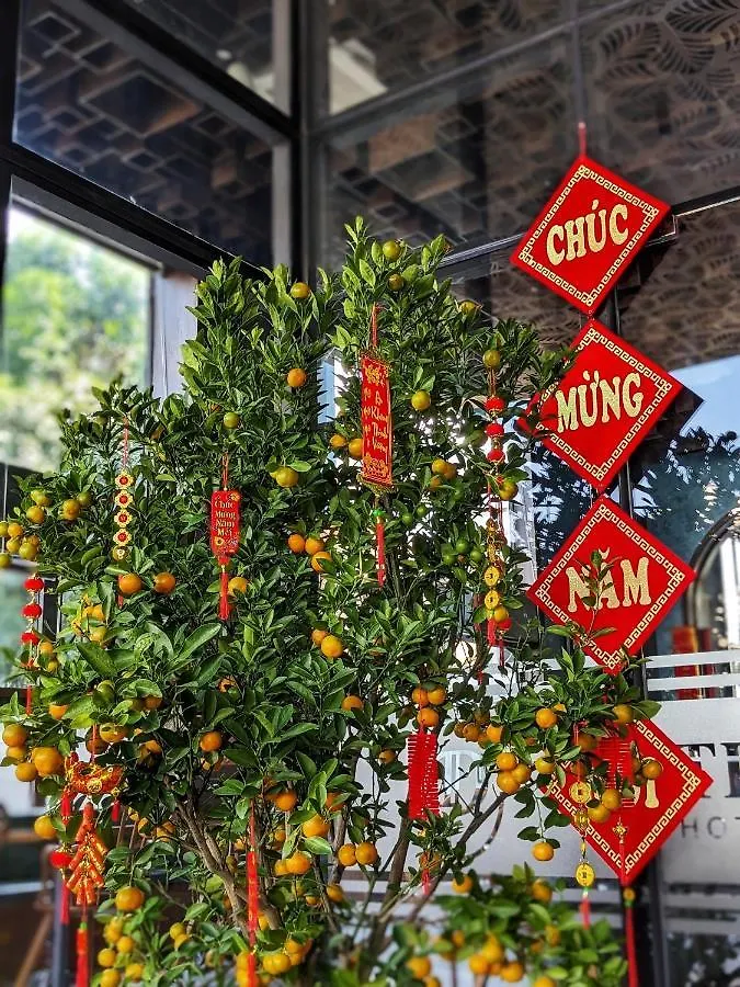 Tdmaison Hotel & Apartment Vũng Tàu