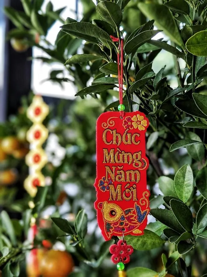 Tdmaison Hotel & Apartment Vũng Tàu Vietnam
